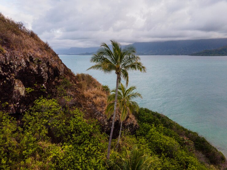 beautiful-hawaii-landscape-with-ocean_23-2149082947 beautiful-hawaii-landscape-with-ocean_23-2149082947