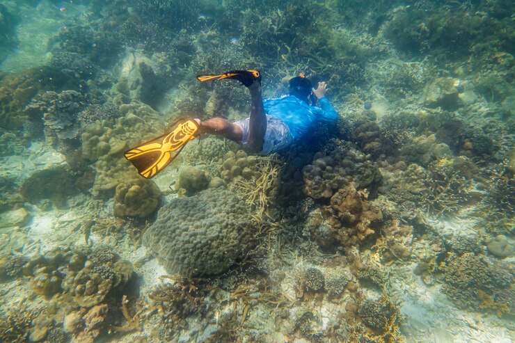 snorkeling-diver_63253-5573 snorkeling-diver_63253-5573