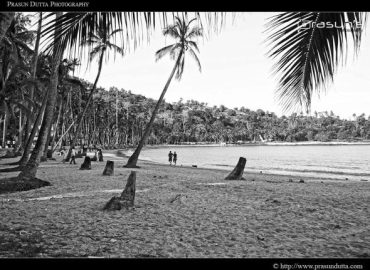 WhatsApp Image 2025-02-19 at 12.42.43 PM