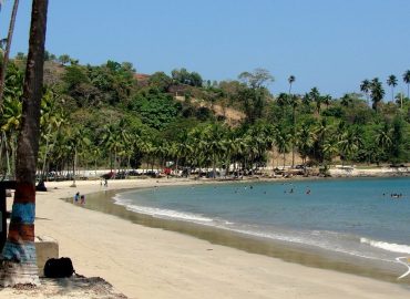 WhatsApp Image 2025-02-19 at 12.42.44 PM