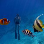 free-diving-apnea-diving-emerged-from-depths-sea-with-fish-foreground_615433-959
