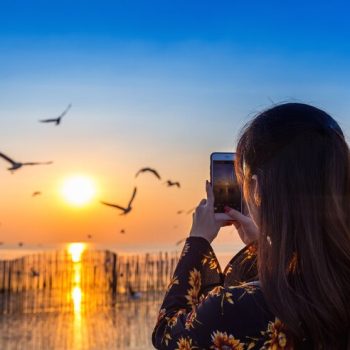 silhoutte-birds-flying-young-woman-taking-photo-sunset_335224-914