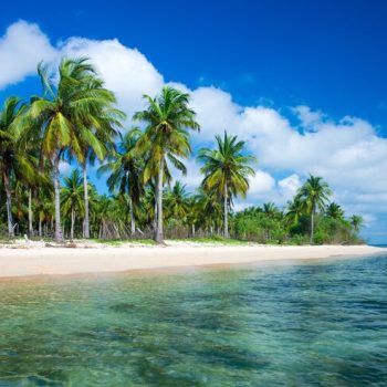 tropical-beach-sri-lanka-summer-holiday-vacation-concept-tourism_87394-188 tropical-beach-sri-lanka-summer-holiday-vacation-concept-tourism_87394-188